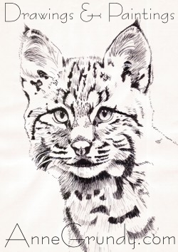 Pen & Ink drawing of a Lynx Cub annegrundy.com